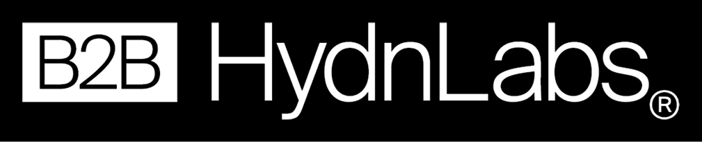 B2B HydnLabs logo